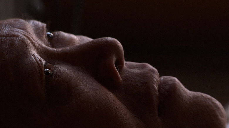 кадр из фильма Your Day Is My Night