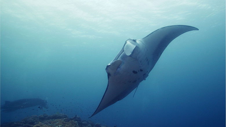 кадр из фильма Океаны