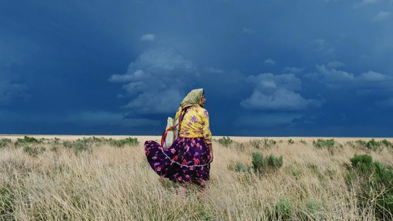 кадр из фильма Женщина из долины звёзд и гор