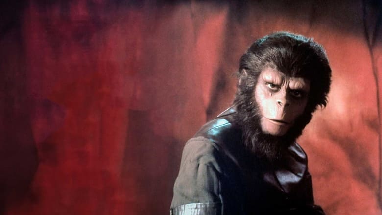 кадр из фильма « La Planète des singes » : une odyssée de l'espèce