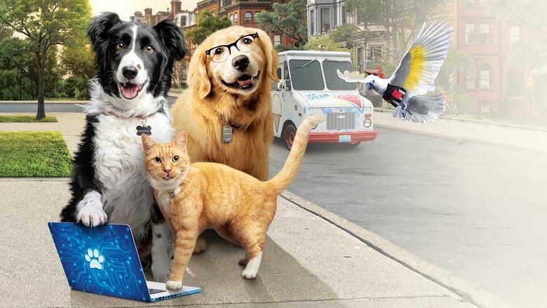 кадр из фильма Кошки против собак 3: Лапы, объединяйтесь