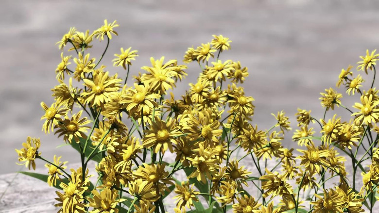 кадр из фильма Последняя фантазия 7: Дети пришествия