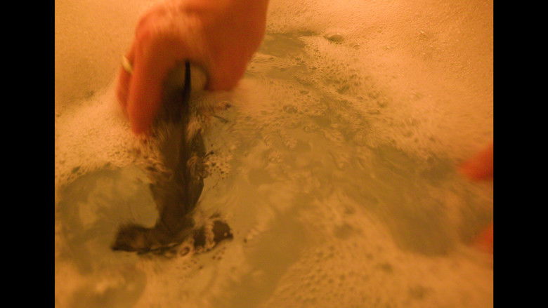 кадр из фильма Comisura (The Corners of Your Mouth)