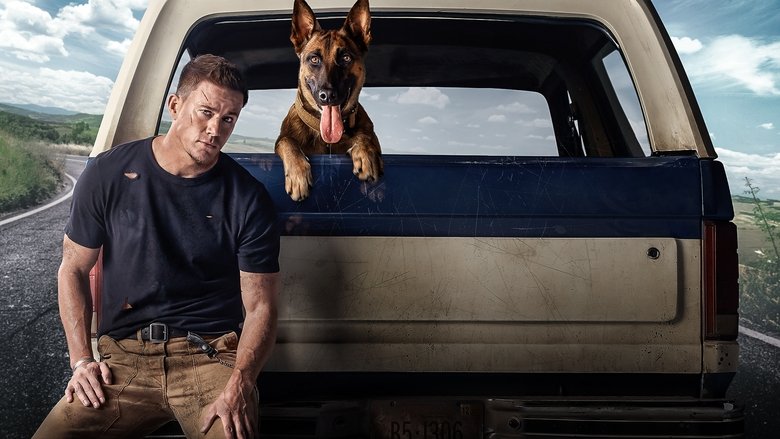 кадр из фильма Лулу и Бриггс