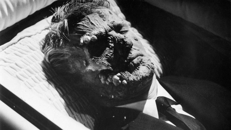 кадр из фильма Castle of Evil