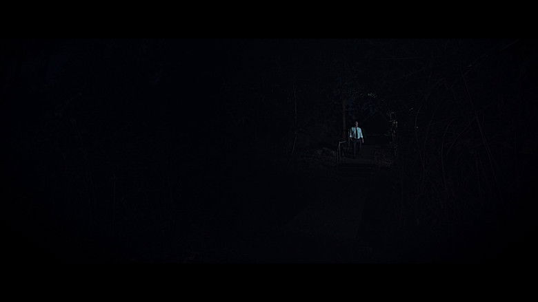 кадр из фильма Little Star