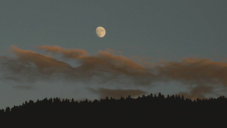 кадр из фильма The Sky Together With The Earth