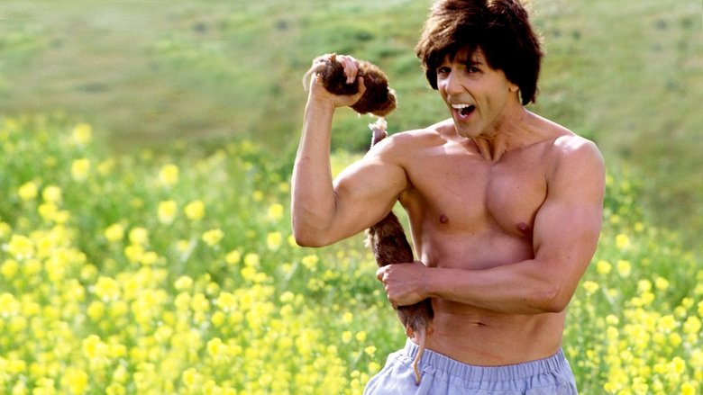 кадр из фильма Кунг По: Нарвись на кулак