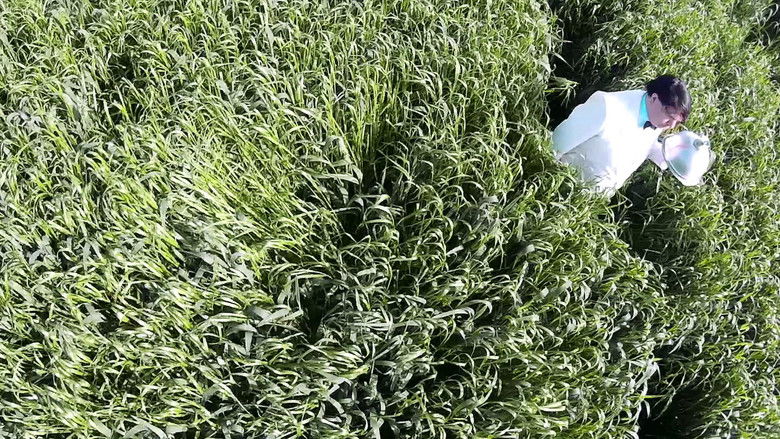 кадр из фильма Baumwolle (So Sind Wir)