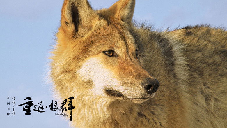 кадр из фильма 重返·狼群