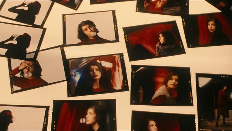 кадр из фильма Три цвета: Красный