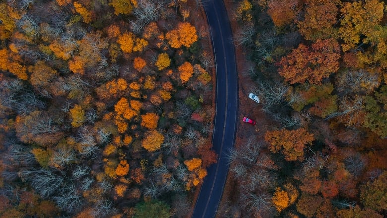 кадр из фильма Smoky Mountain Park Rangers