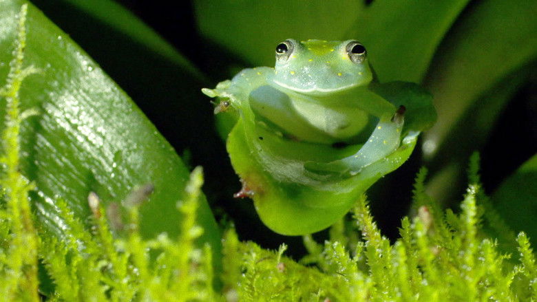 кадр из фильма Where Oceans Collide