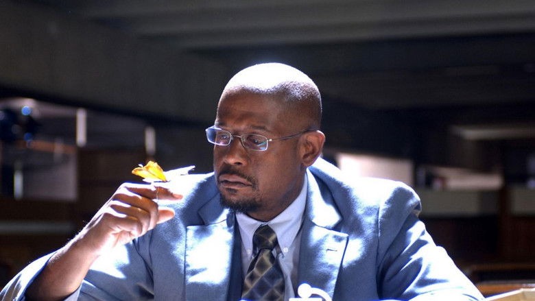 кадр из фильма Воздух, которым я дышу