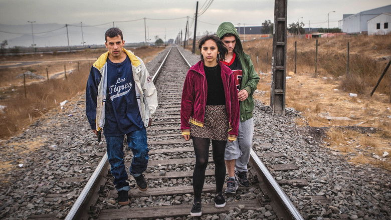 кадр из фильма Piola