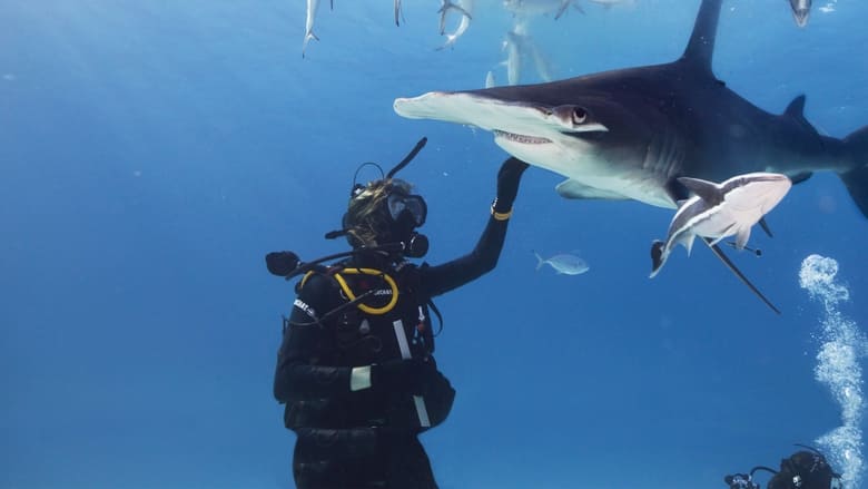 кадр из фильма Shark Gangs