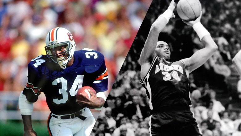 кадр из фильма Bo, Barkley and the Big Hurt