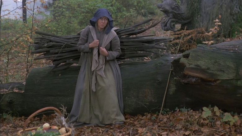 кадр из фильма Die Gänsehirtin am Brunnen