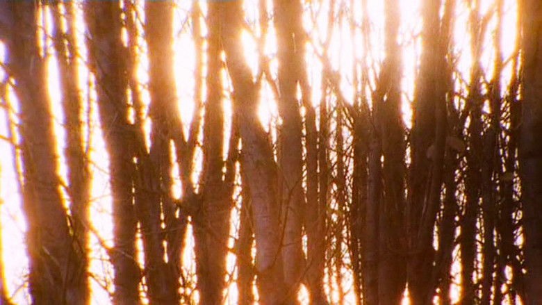 кадр из фильма Aspect