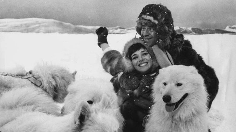 кадр из фильма Don't Raise the Bridge, Lower the River