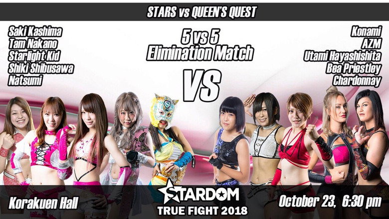 кадр из фильма STARDOM TRUE FIGHT 2018