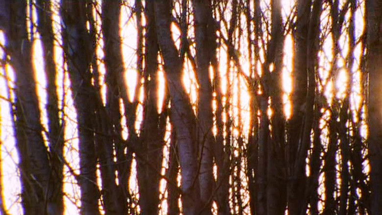 кадр из фильма Aspect