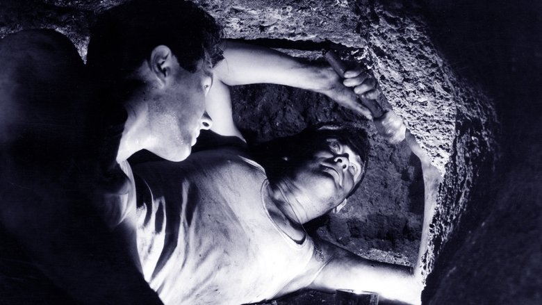 кадр из фильма The Colditz Story