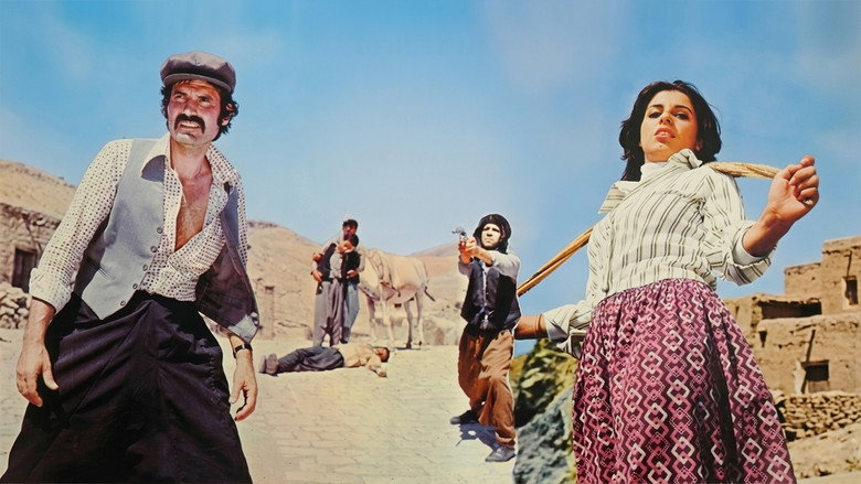 кадр из фильма Hıdır