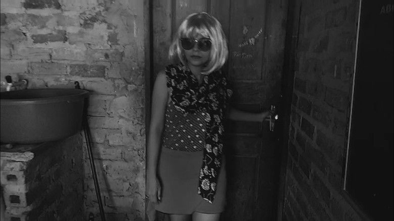 кадр из фильма Teddy Bear