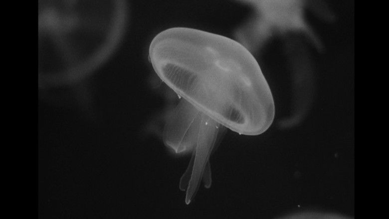 кадр из фильма Miriam