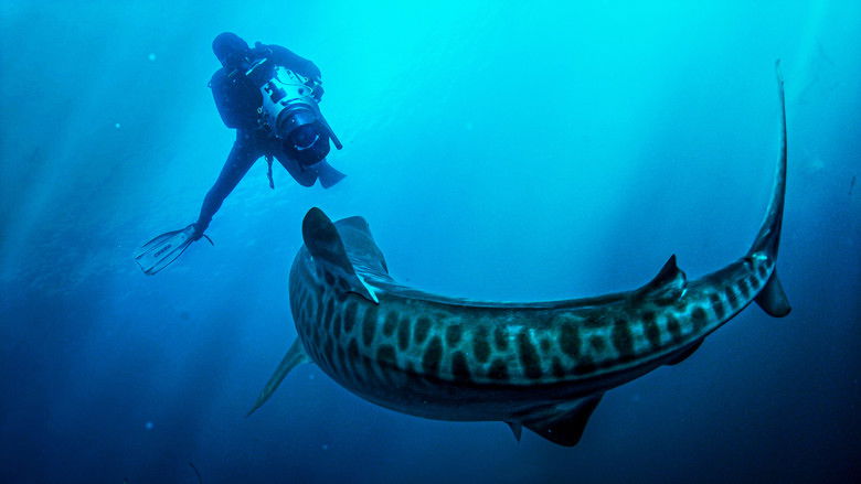 кадр из фильма 50 Shades of Sharks