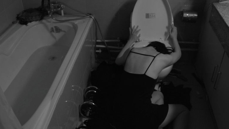 кадр из фильма 寻找KOKO