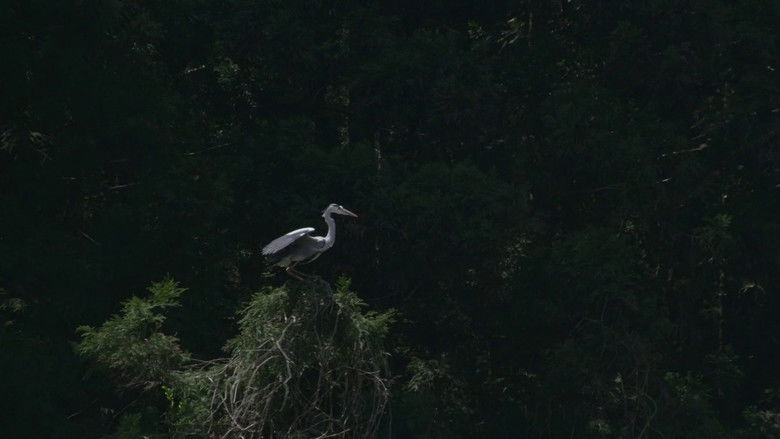 кадр из фильма Маленький лес. Зима, весна