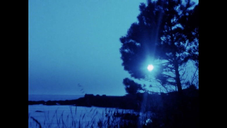 кадр из фильма Matter of Clarity