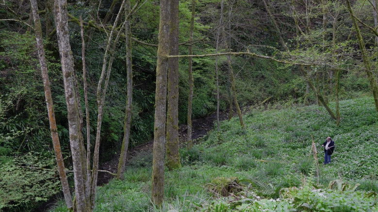 кадр из фильма Un regard sur l'oeuvre