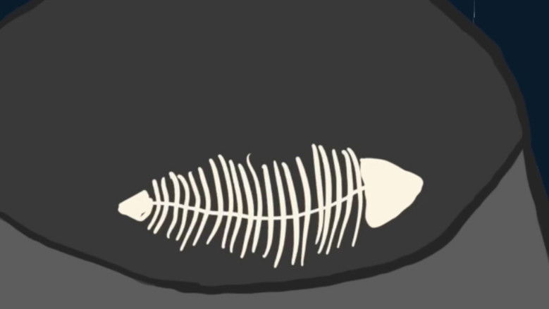 кадр из фильма Жовтий кіт з блакитними очима