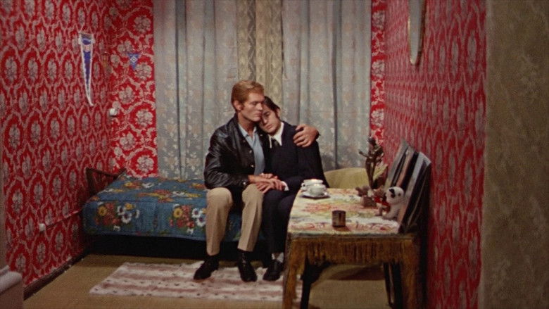 кадр из фильма Nicht der Homosexuelle ist pervers, sondern die Situation, in der er lebt