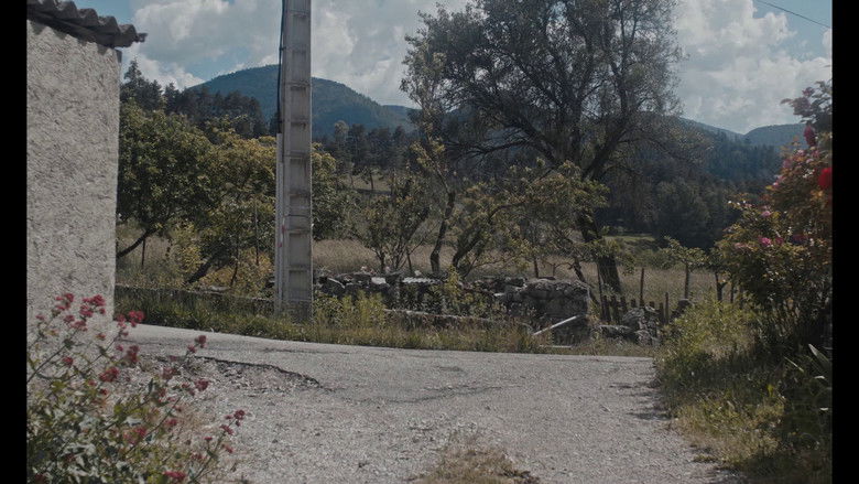 кадр из фильма Fiori bianchi