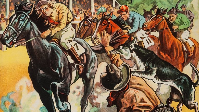 кадр из фильма The Law of the Wild