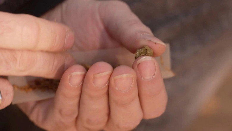 кадр из фильма Cannabis, un paradoxe français