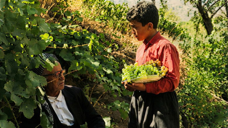 кадр из фильма وڵاتی گوڵەبەڕۆژەکان