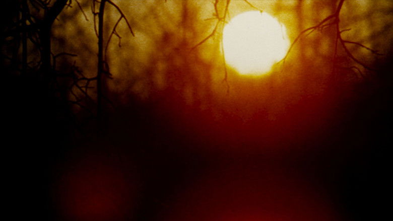 кадр из фильма The Legend of Boggy Creek