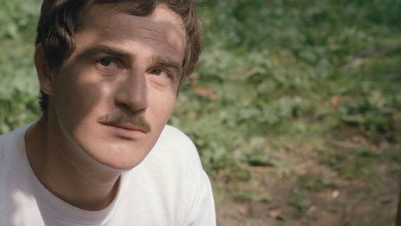 кадр из фильма На хуторе у леса