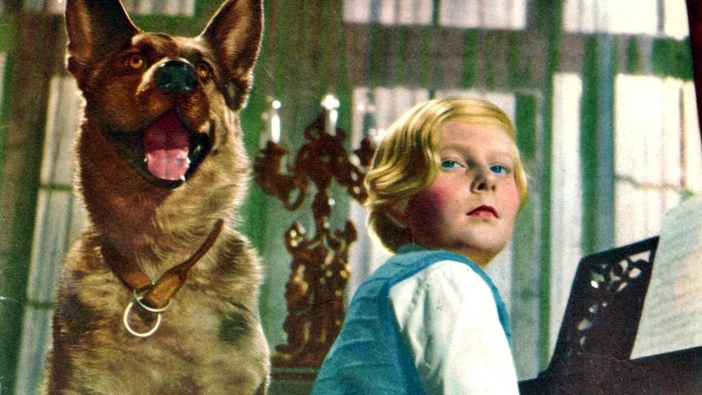 кадр из фильма The Wonder Kid