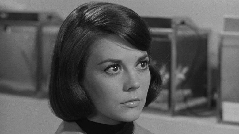 кадр из фильма Любовь с подходящим незнакомцем