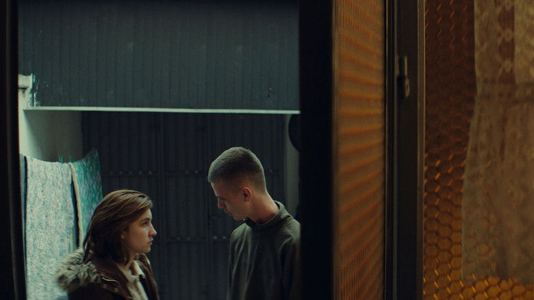 кадр из фильма В поисках Венеры