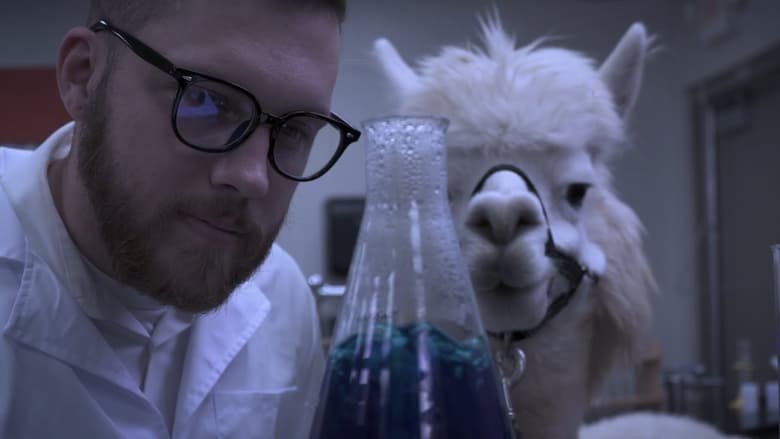 кадр из фильма Alpacalypse