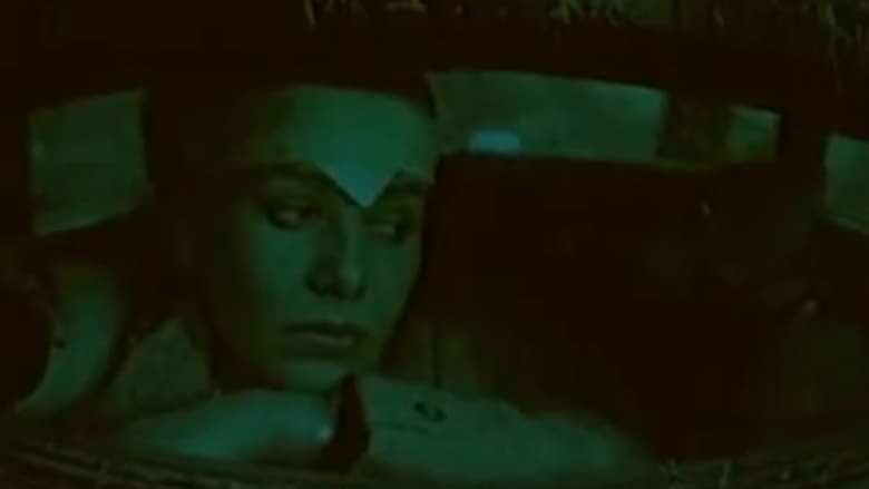 кадр из фильма Befrielsesbilleder