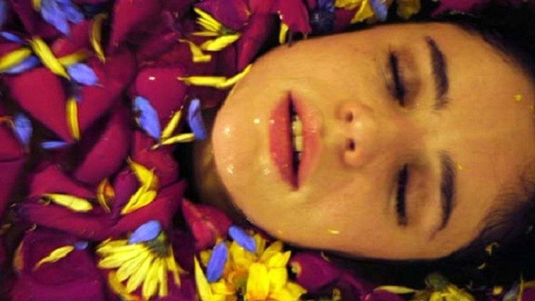 кадр из фильма Violeta de mil colores