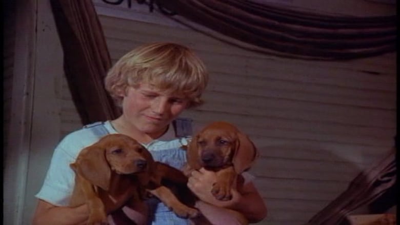кадр из фильма Where the Red Fern Grows